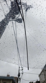 雨だぁ☔