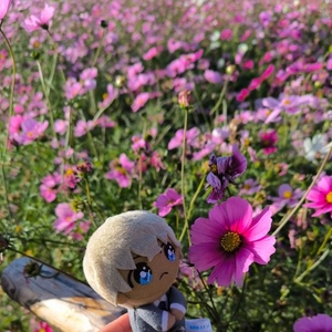 毒?可愛い?＆セクシー?クール