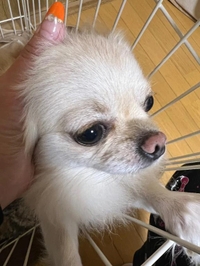 一気に‼️急げー‼️