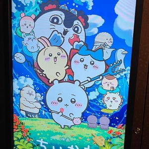 本当は3匹だったの°･🐠