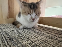 ※時間変更17-L?