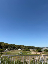 恐れていたことが起こりました😭