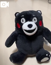 〇〇に襲われて...？⚠️音声あり⚠️