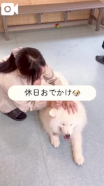 🎥みおんの休日🎥