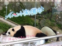 やってるよ〜!!!!!!!!