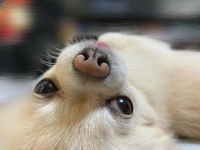 鼻水止まらん🤧