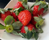 朝ごはんに🍓