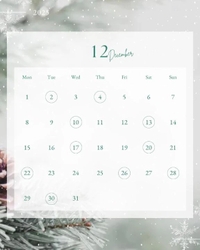 【12月の予定🎄】