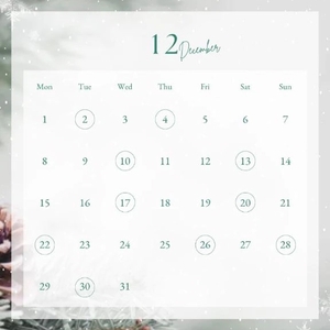 【12月の予定🎄】