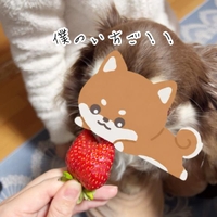 『我が家食いしん坊』