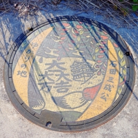 もも