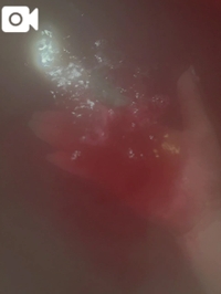 ✉️💞本指名様