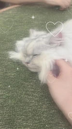 起きちゃー‼️