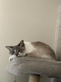 本日残り1枠