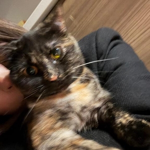 夕方だ😳