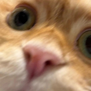 ありがとう💗💗💗