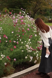 ＜悲報＞2025年の秋、終わりを迎える