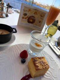 おはようございます🌼