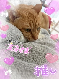きゅんんんん♡