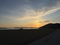 久しぶりに🫧🪼