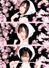 みんなは桜見た？🌸🤍