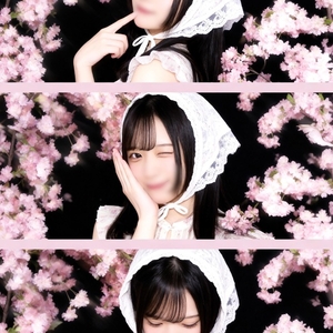 みんなは桜見た？🌸🤍