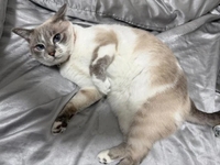 2月ありがとう😉