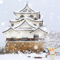 もも