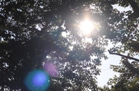 本日17時からラスト‼️