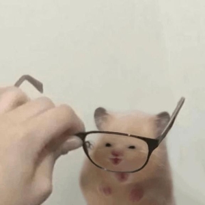 おはようございます🤍