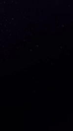 会いたかったな😢