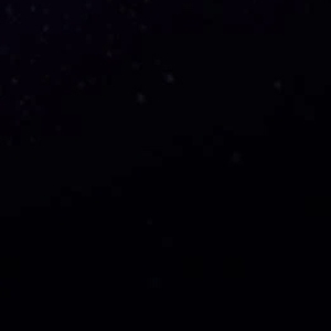 会いたかったな😢