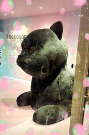 公式LINEからも💁‍♂️⋆͛📢⋆