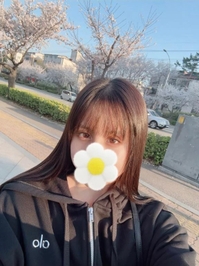 春がきた〜🌸
