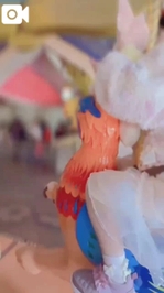 〇〇目線のもえちゃん、初公開？