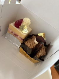 お兄様、何してますか？