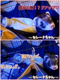 もっこりぬくぬく。