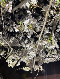 るんるんちゃんです🎶