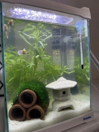 今日はおやすみです