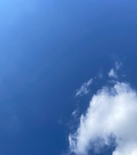 いいお天気☀️