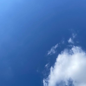 いいお天気☀️