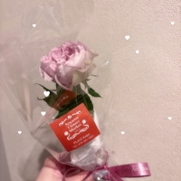 🌷