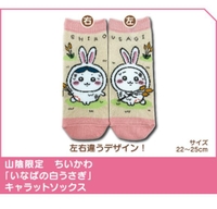 コレだぁ〜‼️🐰🍓