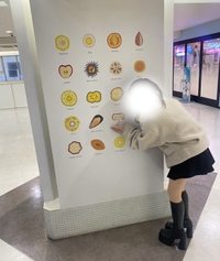 🍄‍🟫🍄‍🟫💓