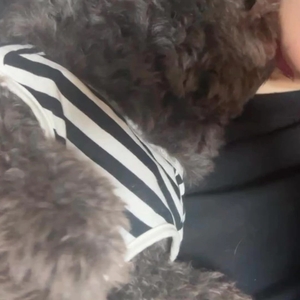 モフ天〜︎💕︎︎💕︎