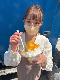 夏といえば🌻🏖️