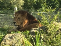 急遽変更ですすみません