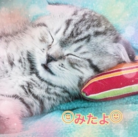 みたよ(*ˊ˘ˋ*)♡