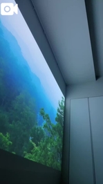 7月23日☀️  いつも朝は、小鳥のさえずり。