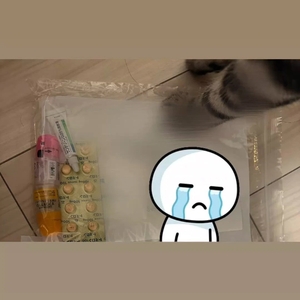 目、終了のお知らせ